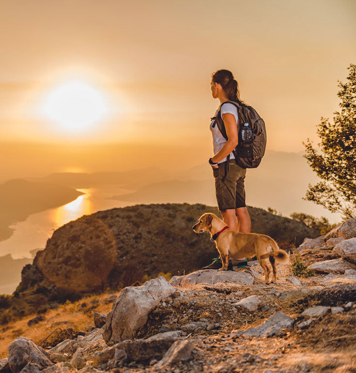 Companion Coffee Co. Adventure Pup